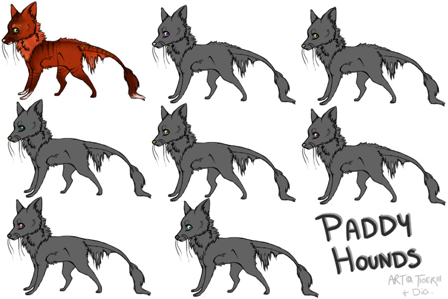 paddy hounds :: grand opening