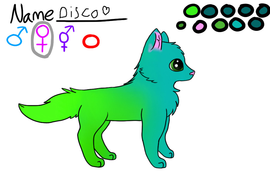 Disco <3