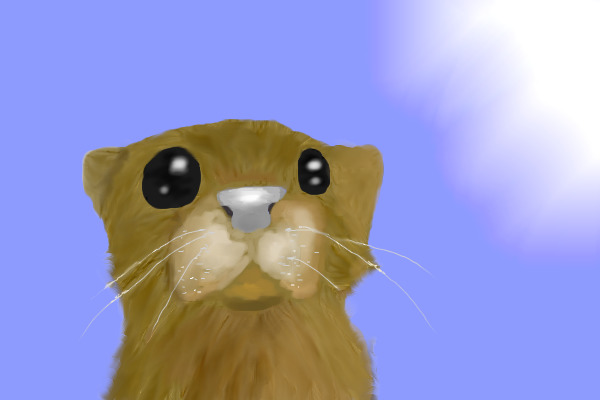 Frukti (New Fursona :D)