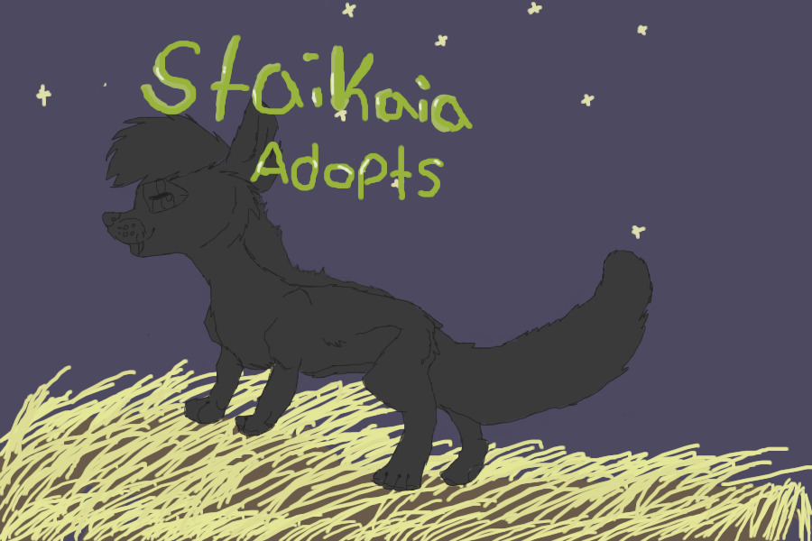 Stakaia Adopts