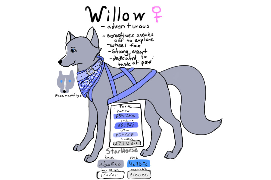 Willow ~ Fox Sled Team ~ With Tack