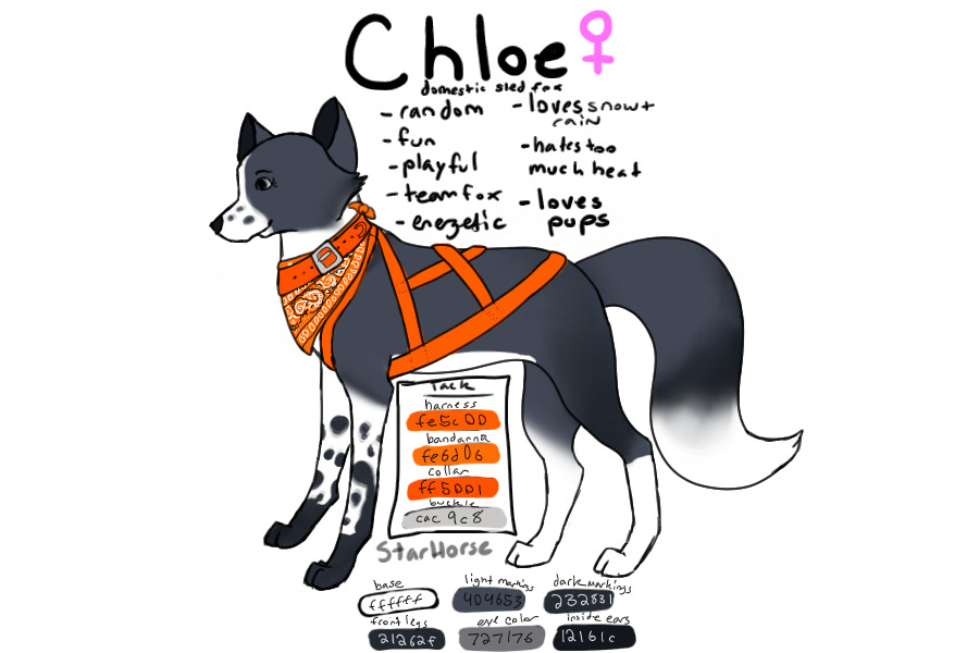 Chloe ~ Fox Sled Team ~ Tack