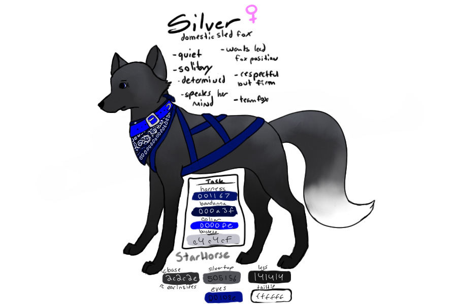 Silver ~ Sled Fox Team ~ Tack