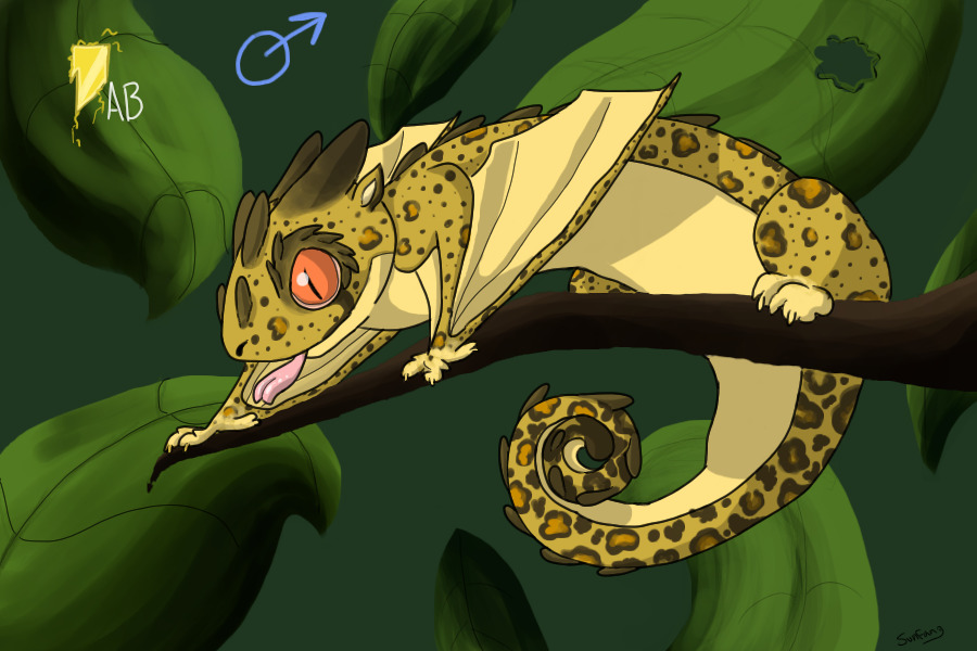 Tokay Wyvern #1 - Leopardpuff