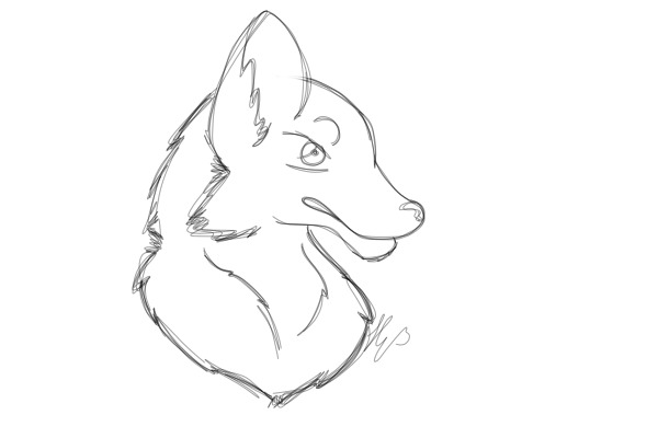 Wolf head sketch