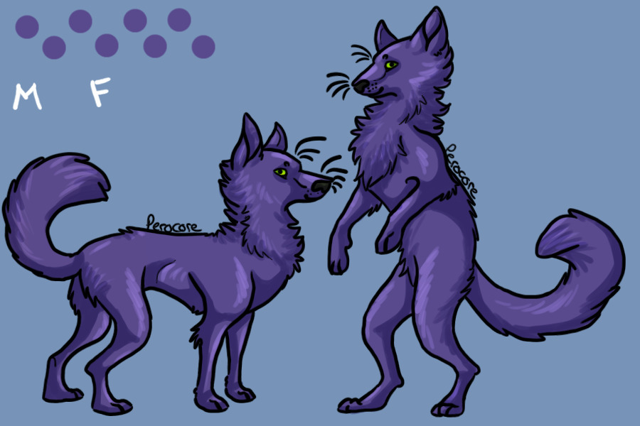 Canine Lines - Feral and Anthro