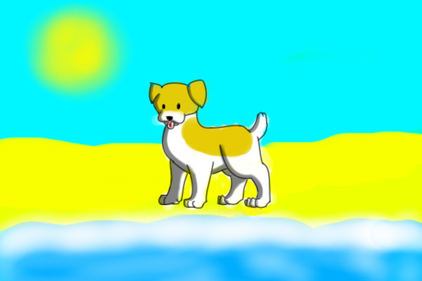 Dog & a beach