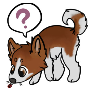 Curiosity