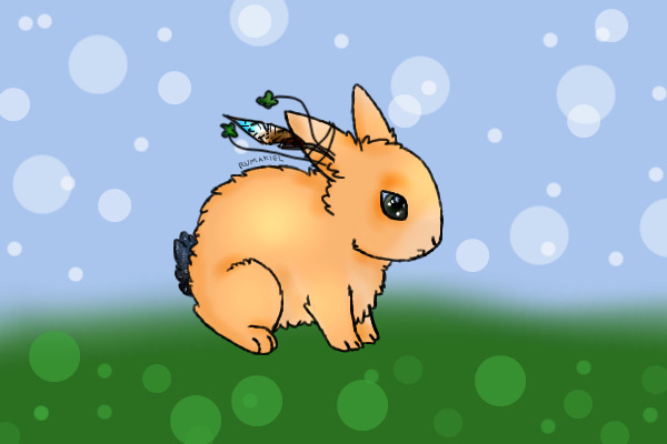 Fluffey Bunney