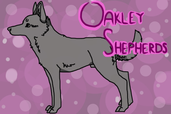 .:Oakley Shepherds:.