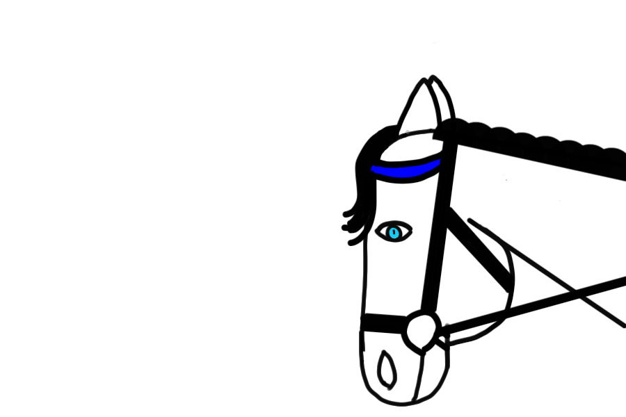 horse drawing
