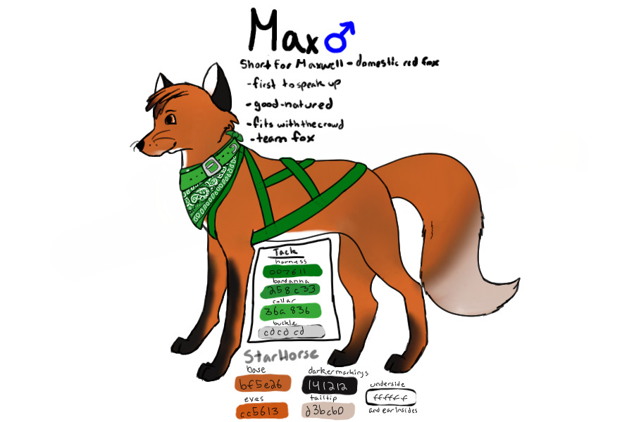 Maxwell ~ Sled Fox Team ~ With Tack