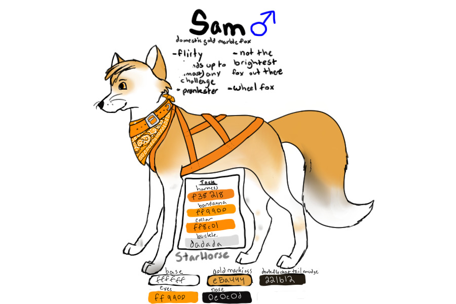 Sam ~ Sled Fox Team ~ With Tack
