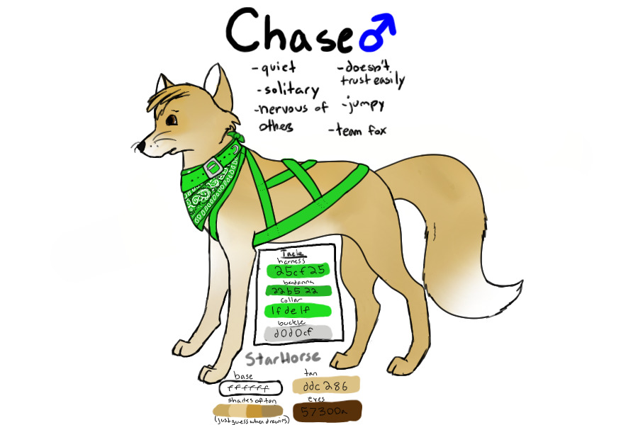 Chase ~ Sled Fox ~ With Tack