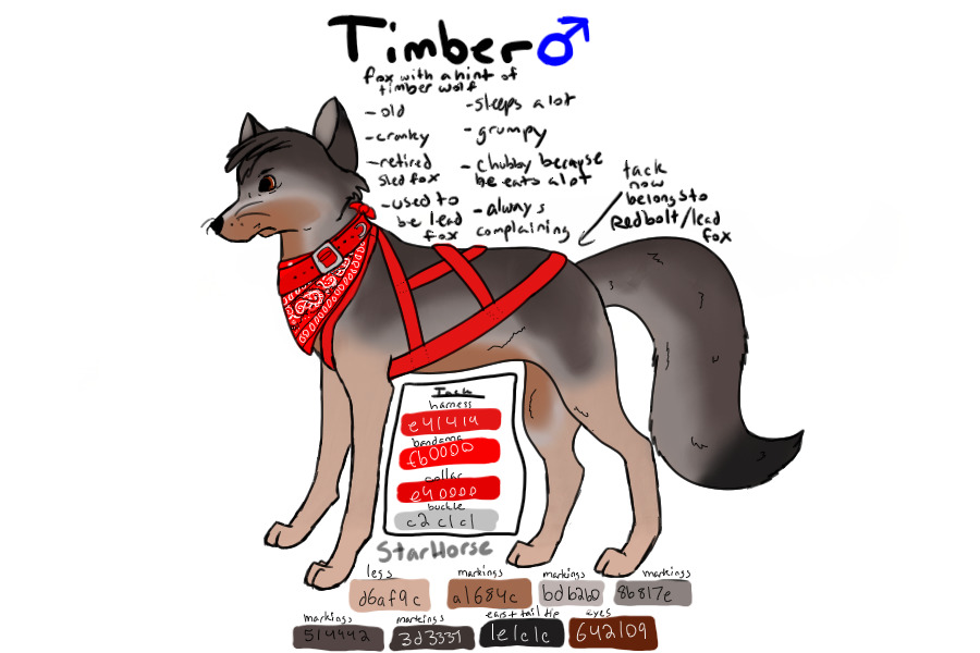 Timber ~ Sled Fox Team ~ With Tack