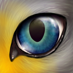 Moonblaze's Eyeball