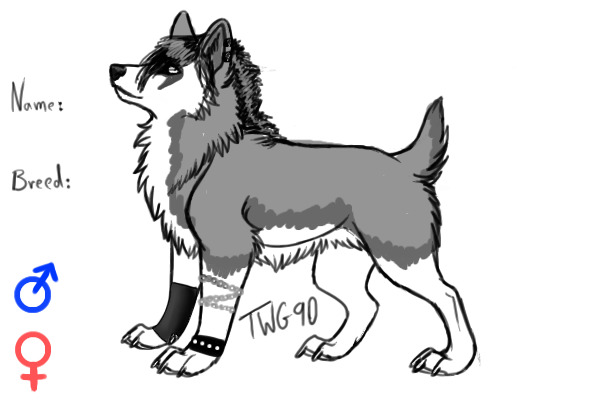 Punk wolf