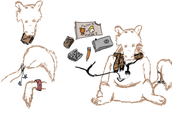 Danish's Accessories and Items
