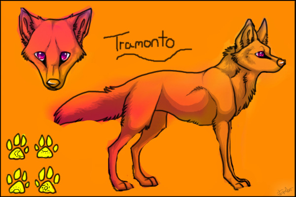 Tramonto. The Sunset Wolf