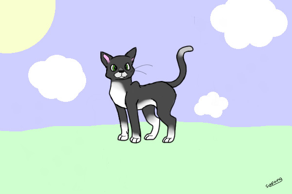 Contest entry