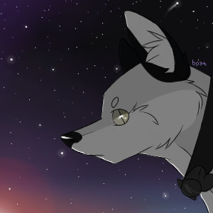 wilfred -thru the air