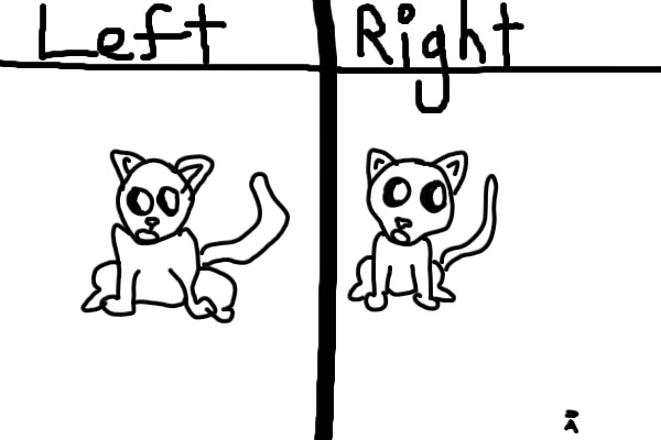 Left or Right?