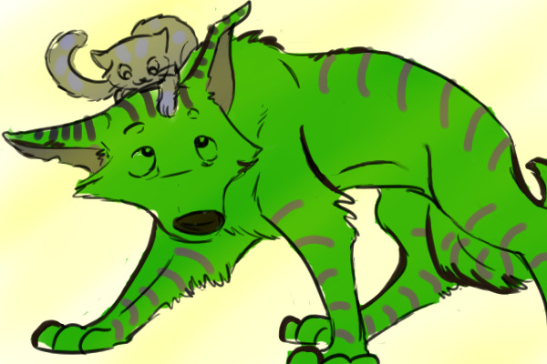 coler byt yolo123456