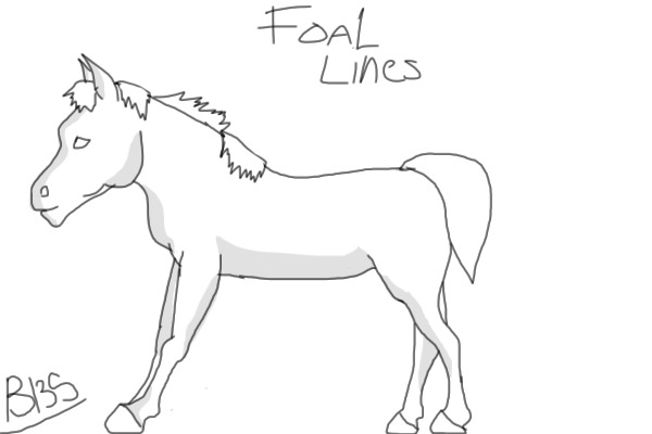 Foal Lines