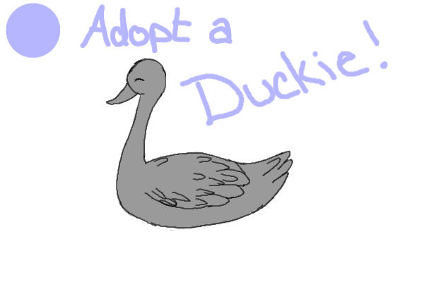 Adopt a duck!