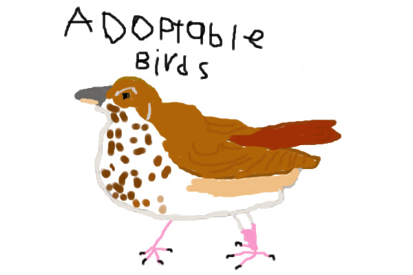Adoptable Birds