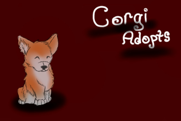 Corgi Adopts