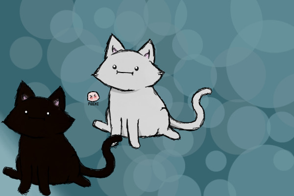 drawing my cats