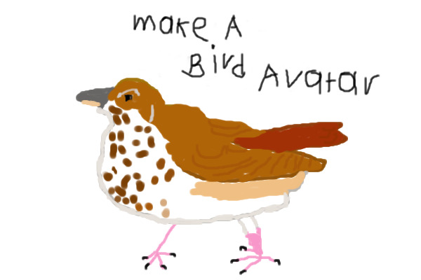 Make a bird avatar