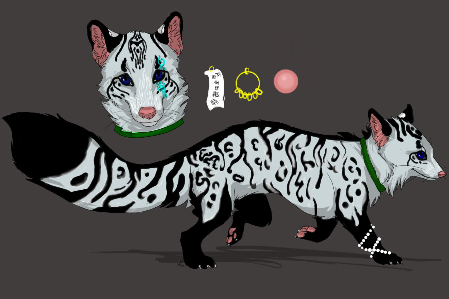 Miroku  - Silver/Blue Ocicat patterend