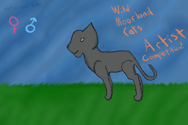 Wild Moorland Cats - Artist Competition!