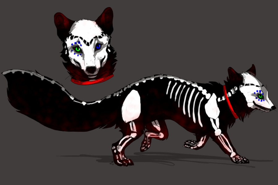 Skelly Pip