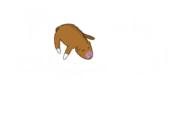 WolfHome's puppy