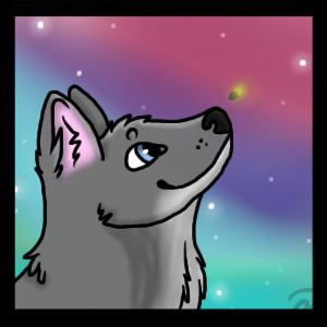 Grey wolf avatar