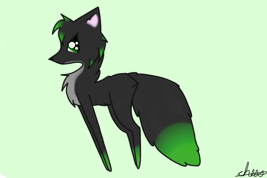 Contest Entry