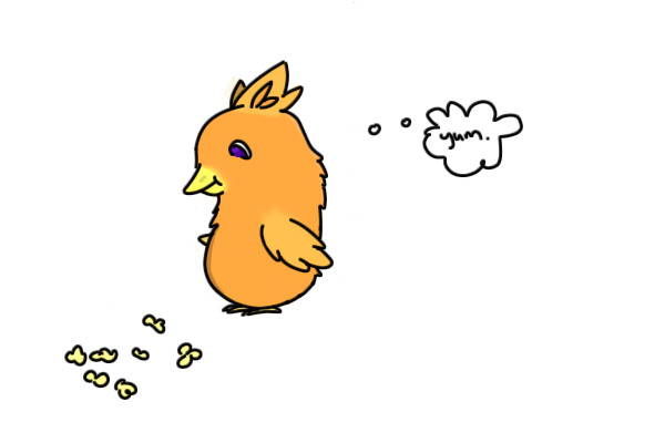 Torchic, on the streets.