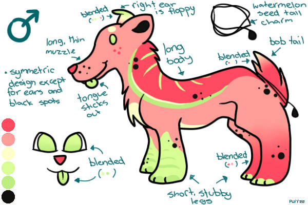 Summery Watermelon Character Competition!! - Entry