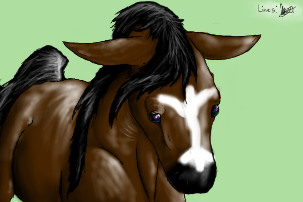 My horsie