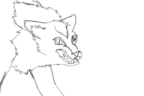 RAWR