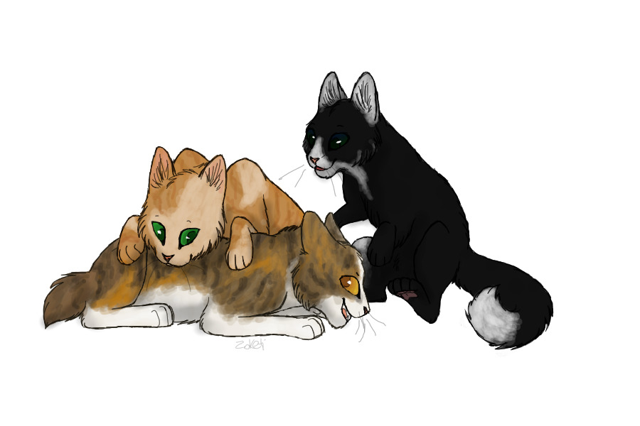 playing -commission-