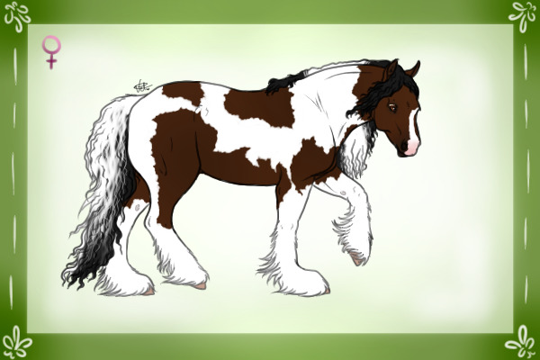 Dark Bay Tobiano - "Missy"