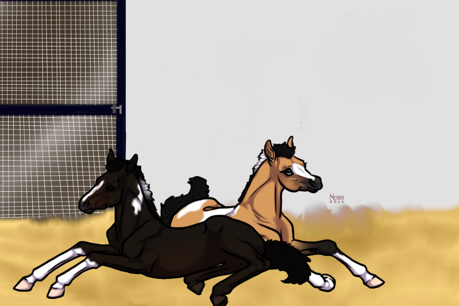 Foals #6 and #7 - (TPB Breeding) - CHS