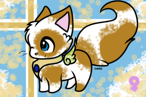 Bamboo Cat #1-Kimmy