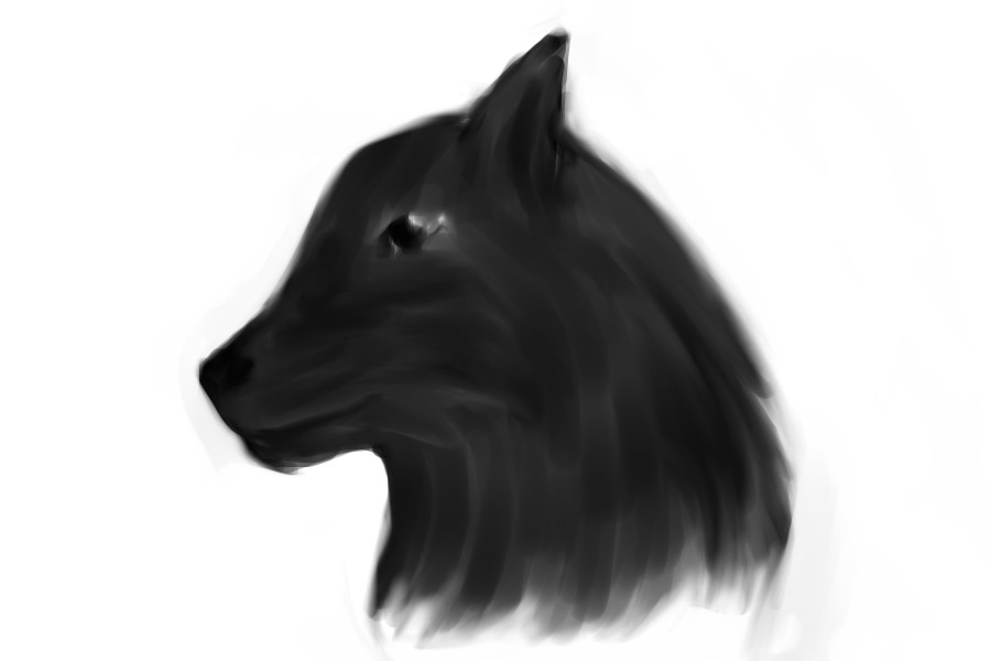 random wolf watercolor