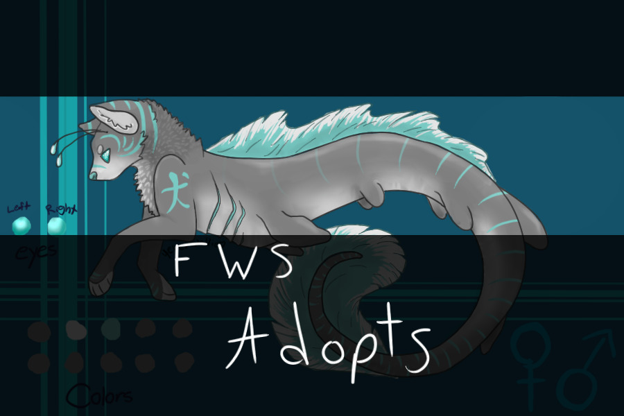 Frilled Wolf Shark Adopts - Grand Opening!
