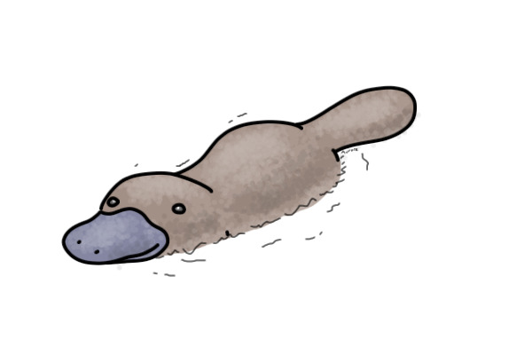 Platypus